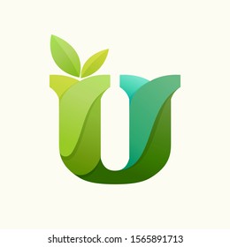 Swirling letter U logo with green leaves. Slab serif font can be used for eco, vegan, bio, raw, organic template.
