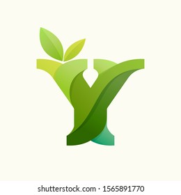 Swirling letter Y logo with green leaves. Slab serif font can be used for eco, vegan, bio, raw, organic template.