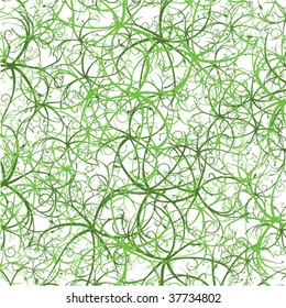 swirly flora illustration