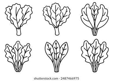 Líneas de arte en rodajas de acelgas suizas Renderizado botánico contemporáneo en monocromo