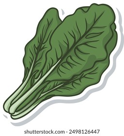 Ilustración vectorial de etiqueta engomada de verduras de acelga suiza. Caricatura aislada acelga suiza, fondo blanco, etiqueta engomada del icono de acelga suiza en concepto de icono de naturaleza alimentaria.