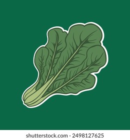 Swiss Chard Vegetables Sticker vector illustration. isolated cartoon Swiss Chard, white background,Swiss Chard Icon sticker on Food nature icon concept.