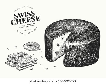 Swiss cheese illustration. Hand drawn vector dairy illustration. Engraved style emmental head. Retro food illustration.