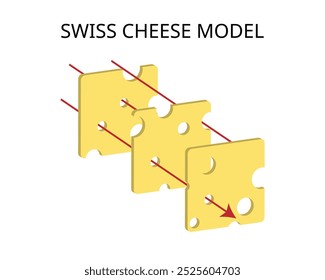 Swiss Cheese Model of accident causation is a model used in risk analysis and risk management