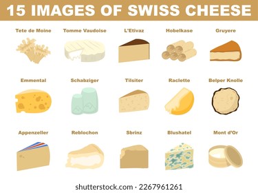 Swiss cheese set. Gourmet dairy products. Appetizer or snack for tasty breakfast. Healthy organic farm meal. Fresh ingredient of Switzerland cuisine. Flat vector illustration