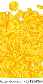Swiss franc coins falling. Gold scattered CHF coins. Switzerland money. Great business success concept. Vector illustration.