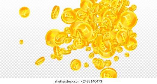 Swiss franc coins falling. Gold scattered CHF coins. Switzerland money. Great business success concept. Wide vector illustration.