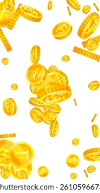 Swiss franc coins falling. Gold scattered CHF coins. Switzerland money. Great business success concept. Vector illustration.