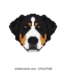 Swiss Mountain Dog Head In Pixel Art Style. Dog Vector Illustration. 