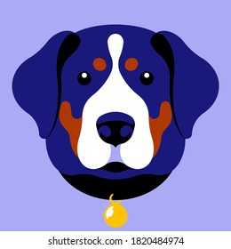 Swiss Mountain Dog. Swiss Mountain dog head. Purebred. Dog face muzzle. Vector illustration. Dog portrait, mascot, symbol.