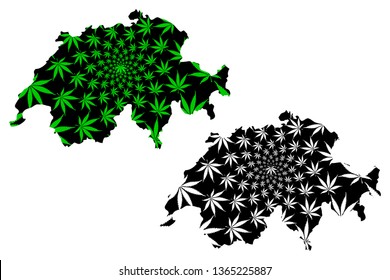 Switzerland - map is designed cannabis leaf green and black, Swiss Confederation map made of marijuana (marihuana,THC) foliage,