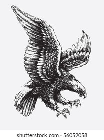 Swooping Eagle