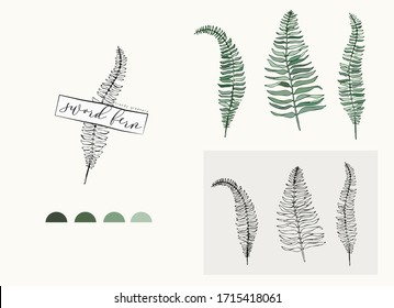 Sword fern leaf logo and branch. Hand drawn wedding herb, plant and monogram with elegant leaves for invitation save the date card design. Botanical rustic trendy greenery vector illustration