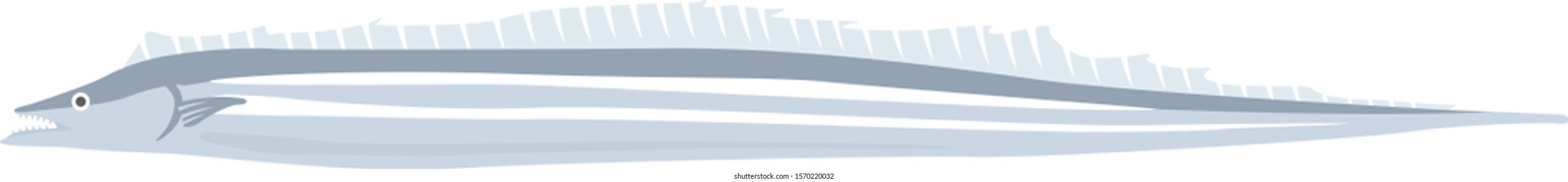 Sword fish Illustration.
Illustration of fish.