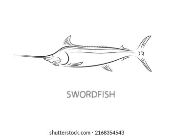 swordfish drawing  isolated vector illustration