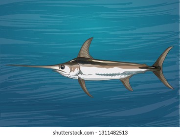 swordfish sea fish 