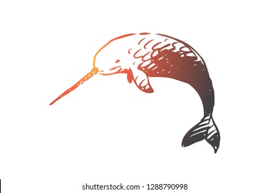 Swordfish, sea, water, wildlife, seafood concept. Hand drawn swordfish in the sea concept sketch. Isolated vector illustration.