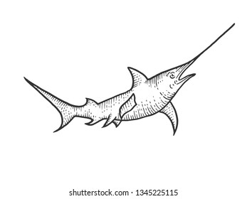 Swordfish sketch engraving vector illustration. Scratch board style imitation. Hand drawn image.