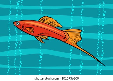 swordtail aquarium fish. Pop art retro vector illustration