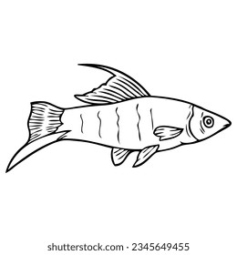 swordtail guppy fish sketch vector illustration,isolated on white background,top view