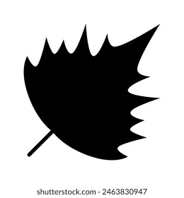 Sycamore leaf icon. Poplar or ivy. Hawthorn leaf isolated on a white background. Vector illustration