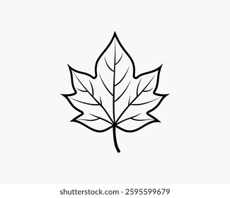 sycamore leaf Illustration Vector Art Design