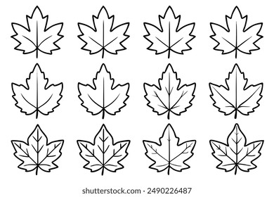 Sycamore Leaf Line Art Design Illustration