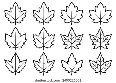 Sycamore Leaf Line Art Sketch Drawing