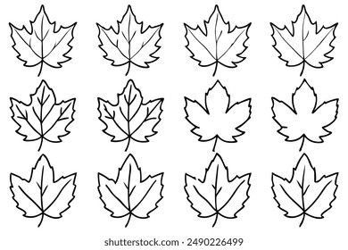 Sycamore Leaf Line Art Vector Design