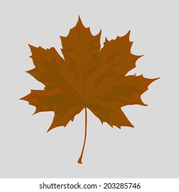 sycamore leaf vector art