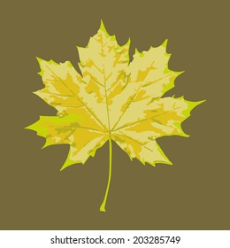 sycamore leaf vector art
