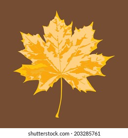 sycamore leaf vector art