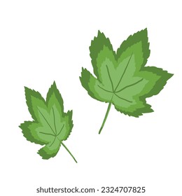 Sycamore leaves maple simple isolated vector logo design isolated on white background.