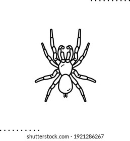 Sydney Funnel Spider, Poisonous Insect Vector Icon In Outline