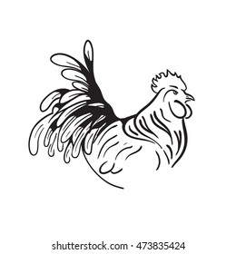 Symbol of 2017 new year by chinese calendar. Hand drawn vector rooster. Sketch illustration.
