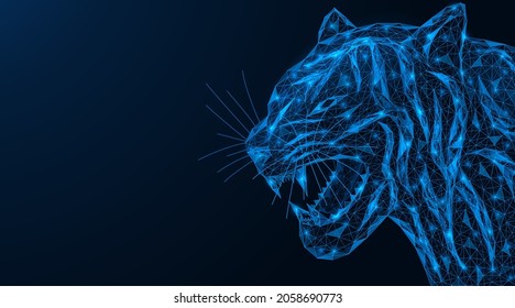 The symbol of 2022 is the blue tiger. Polygonal construction of interconnected lines and points. 