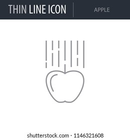Symbol of Apple. Thin line Icon of Scientific Study. Stroke Pictogram Graphic for Web Design. Quality Outline Vector Symbol Concept. Premium Mono Linear Beautiful Plain Laconic Logo