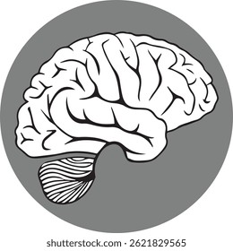 Símbolo del cerebro en el eps humano