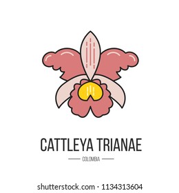 The symbol of Colombia cattleya trianae. Made in flat style. 