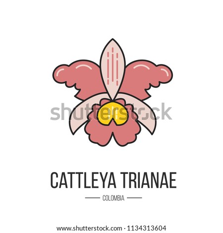 Symbol Colombia Cattleya Trianae Made Flat Stock Vector Royalty