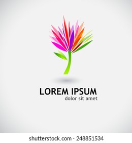 symbol of a colorful flower. Vector