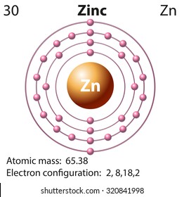 Symbol and electron diagram for Zinc illustration