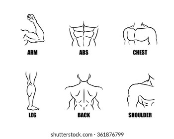 Symbol element of strong muscles in body part of people when pass fitness.