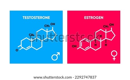 Symbol of estrogen and testosterone. Skeletal formula logos. Molecular chemical formula of sex hormones. Male and female sex hormone. Vector illustration.