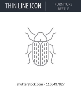Symbol of Furniture Beetle. Thin line Icon of Insect. Stroke Pictogram Graphic for Web Design. Quality Outline Vector Symbol Concept. Premium Mono Linear Beautiful Plain Laconic Logo