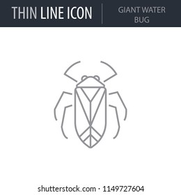 Symbol of Giant Water Bug. Thin line Icon of Insect. Stroke Pictogram Graphic for Web Design. Quality Outline Vector Symbol Concept. Premium Mono Linear Beautiful Plain Laconic Logo
