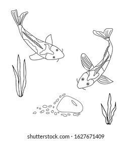 Symbol of good luck and prosperity, Koi fish. Cartoon hand-drawn. Outline sketches drawn on a white isolated background. Vector illustration.
