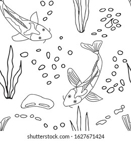 Symbol of good luck and prosperity, Koi fish. Cartoon hand-drawn. Outline sketches drawn on a white seamless background. Vector illustration.