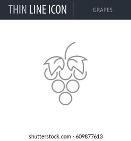 Symbol of Grapes. Thin line Icon of Diet. Stroke Pictogram Graphic for Web Design. Quality Outline Vector Symbol Concept. Premium Mono Linear Beautiful Plain Laconic Logo