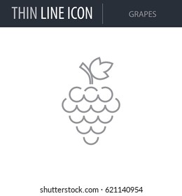 Symbol of Grapes. Thin line Icon of Food. Stroke Pictogram Graphic for Web Design. Quality Outline Vector Symbol Concept. Premium Mono Linear Beautiful Plain Laconic Logo